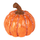 Pompoen - (Dt-255174)